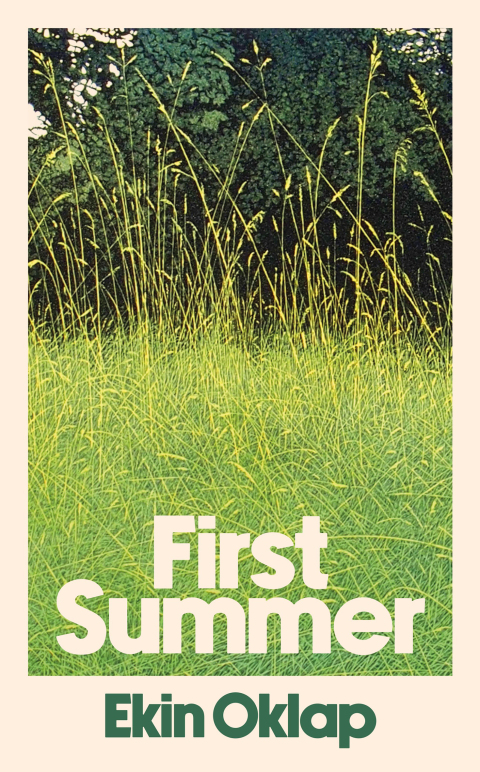 Cover image for book First Summer