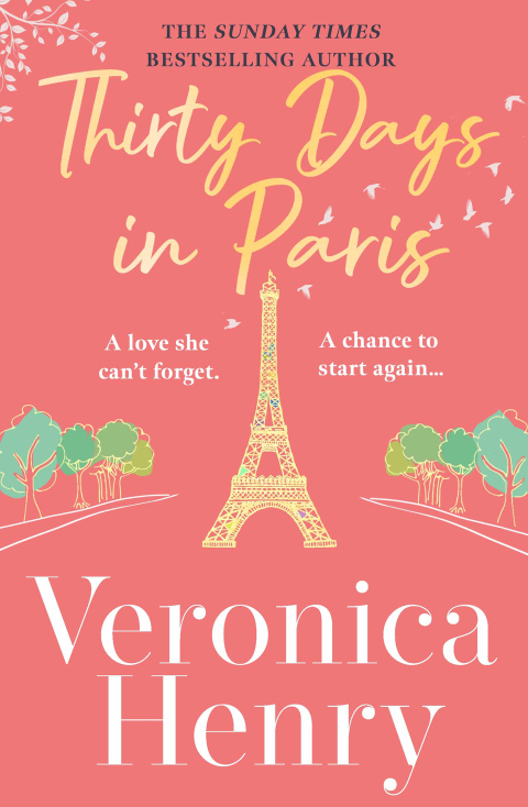 Cover image for book Thirty Days in Paris