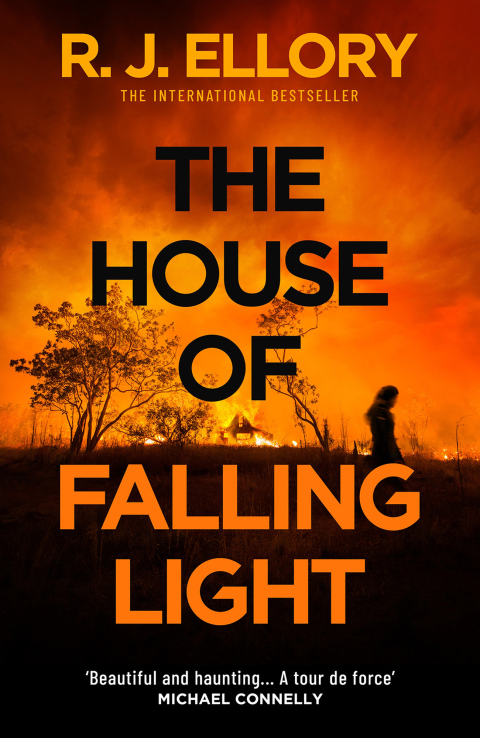 Cover image for book The House of Falling Light
