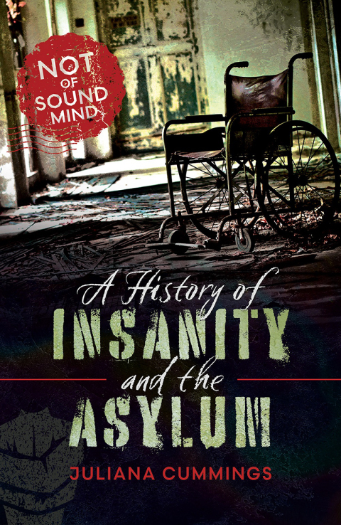 Cover image for book A History of Insanity and the Asylum