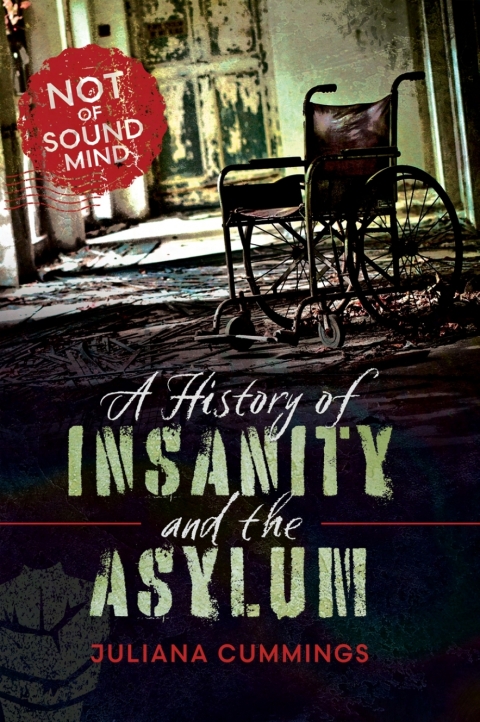 Cover image for book A History of Insanity and the Asylum