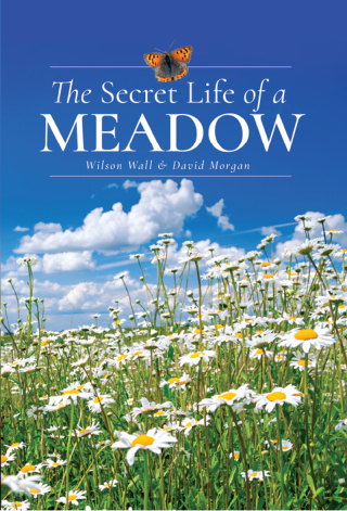 The Secret Life of a Meadow