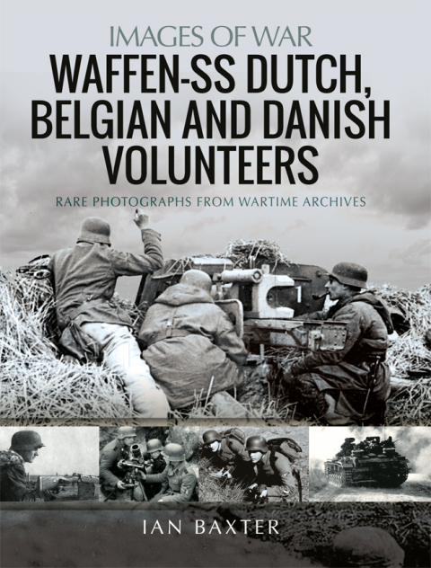Cover image for book Waffen-SS Dutch, Belgian, and Danish Volunteers