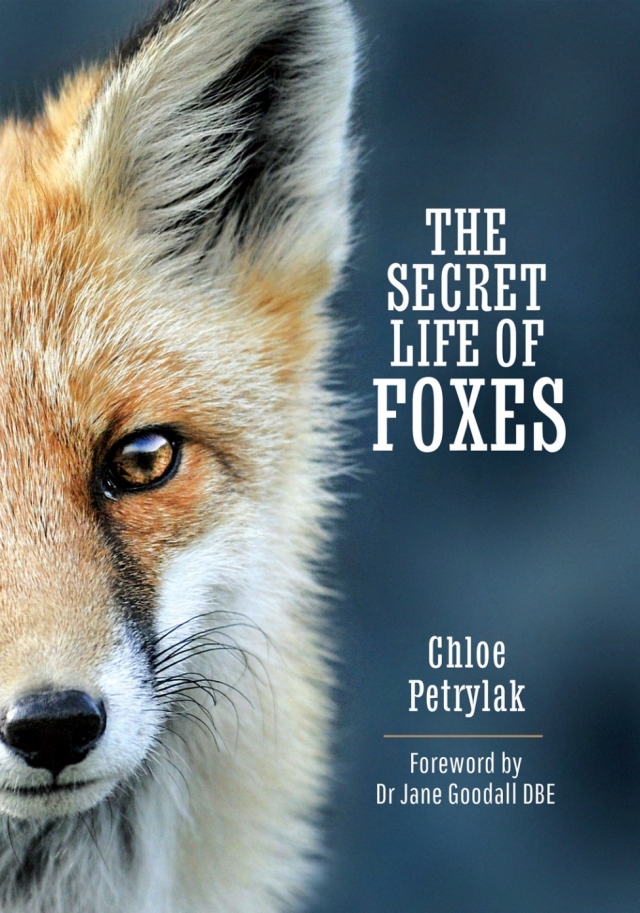 The Secret Life of Foxes