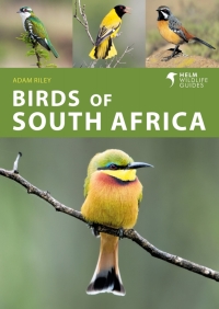 Cover image: Birds of South Africa 1st edition 9781472990808