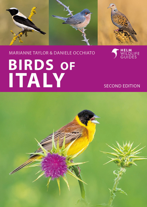 Birds of Italy 
