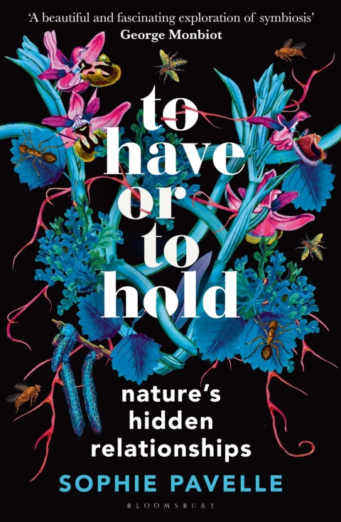 Cover image for book To Have or To Hold