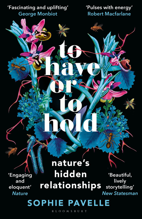 Cover image for book To Have or To Hold