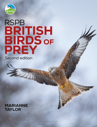 RSPB British Birds of Prey