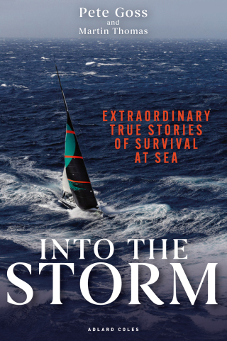 Into the Storm
