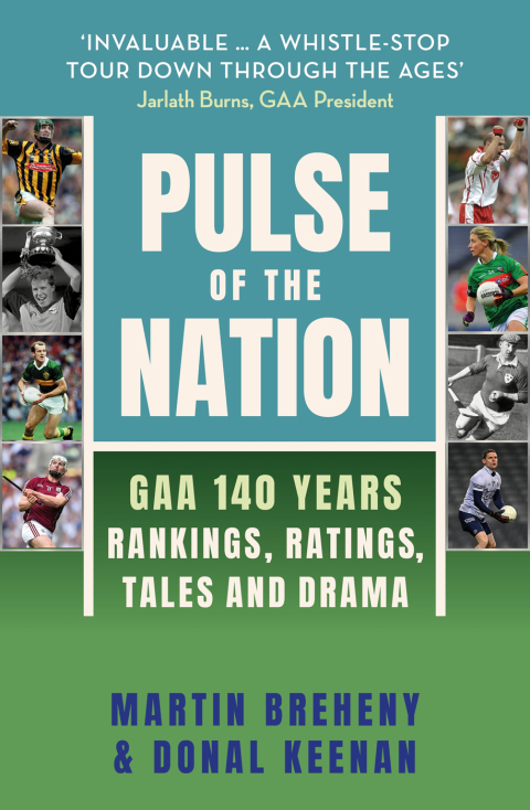 Cover image for book Pulse of the Nation