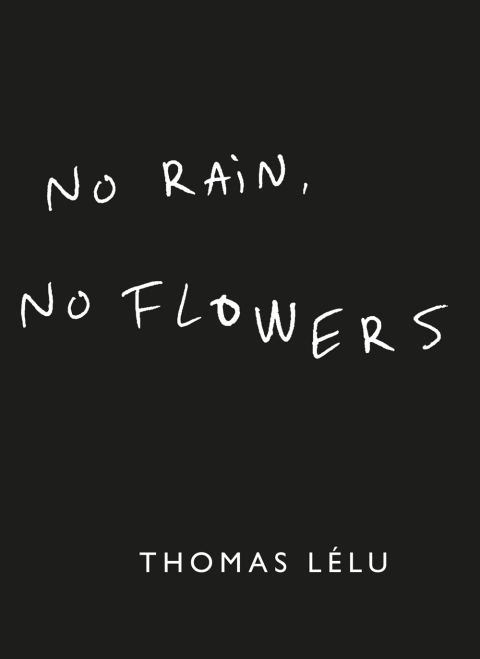 Cover image for book No Rain, No Flowers