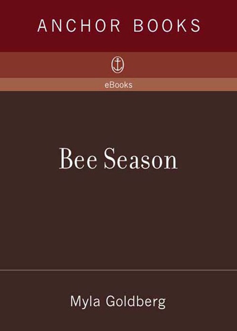 Cover image for book Bee Season