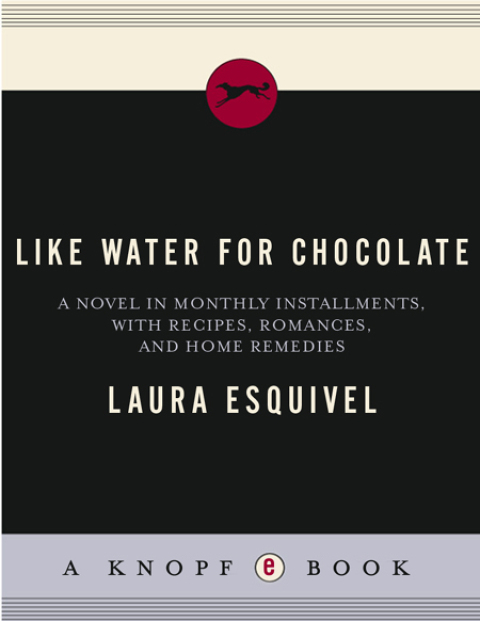 Cover image for book Like Water for Chocolate