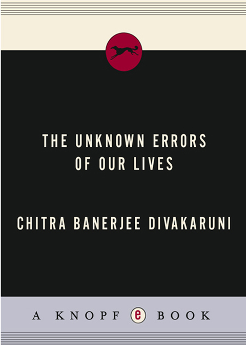 Cover image for book The Unknown Errors of Our Lives