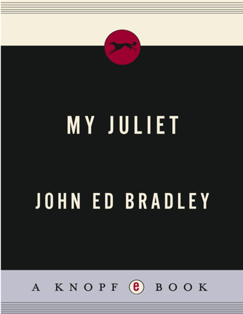 Cover image for book My Juliet