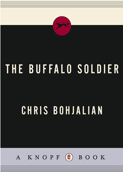 Cover image for book The Buffalo Soldier