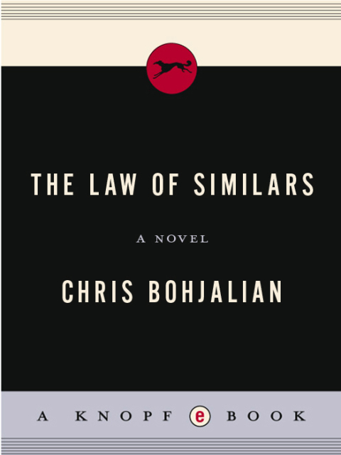 Cover image for book The Law of Similars