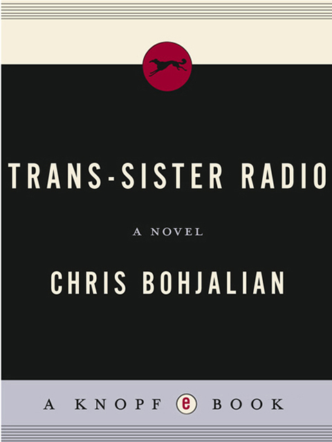 Cover image for book Trans-Sister Radio