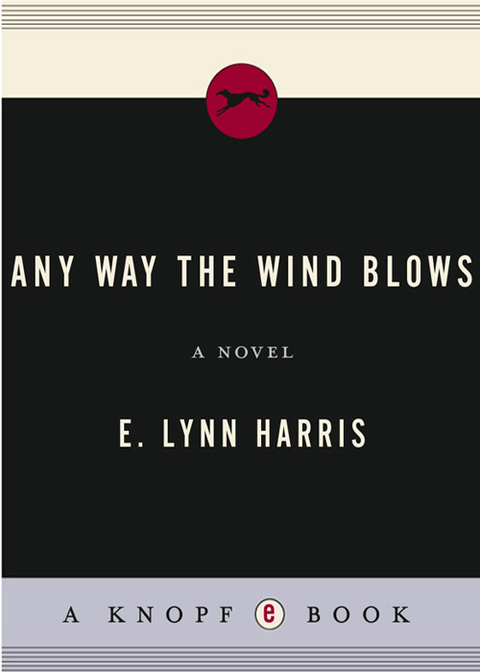 Cover image for book Any Way the Wind Blows