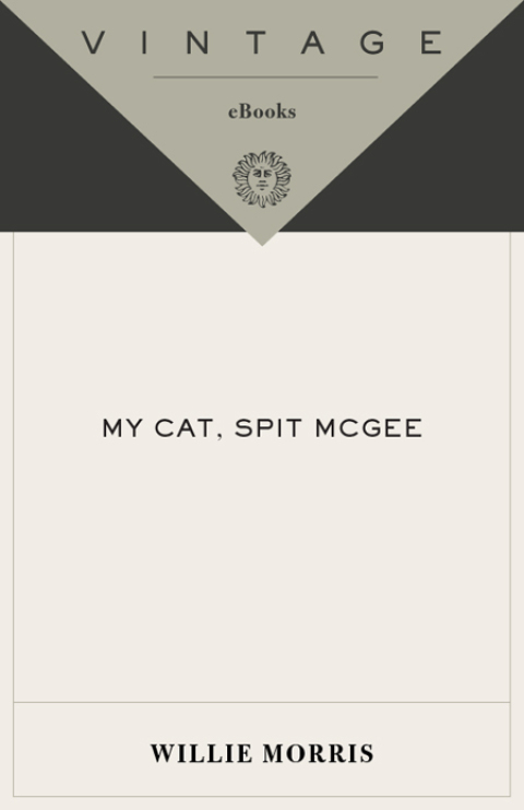Cover image for book My Cat, Spit McGee