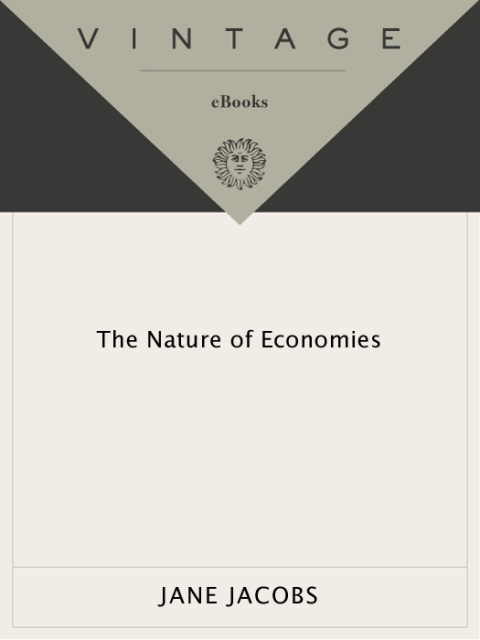 Cover image for book The Nature of Economies