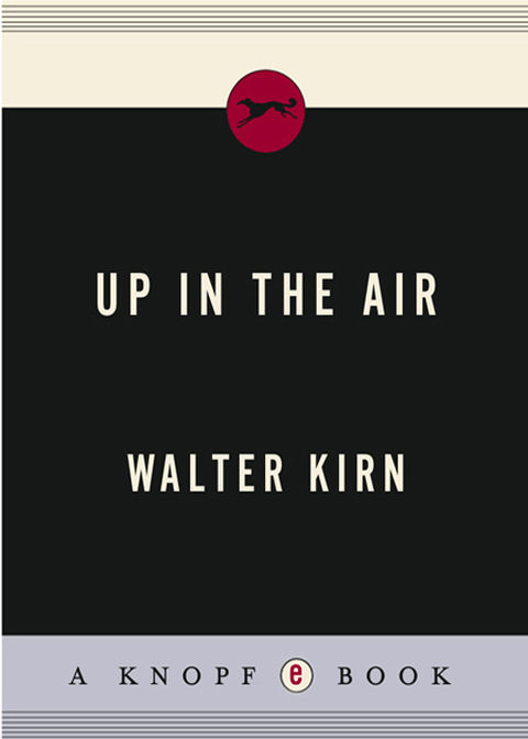 Cover image for book Up in the Air