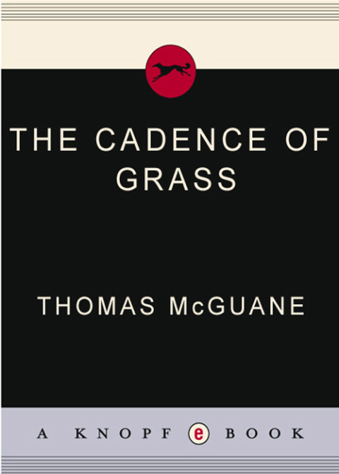 Cover image for book The Cadence of Grass