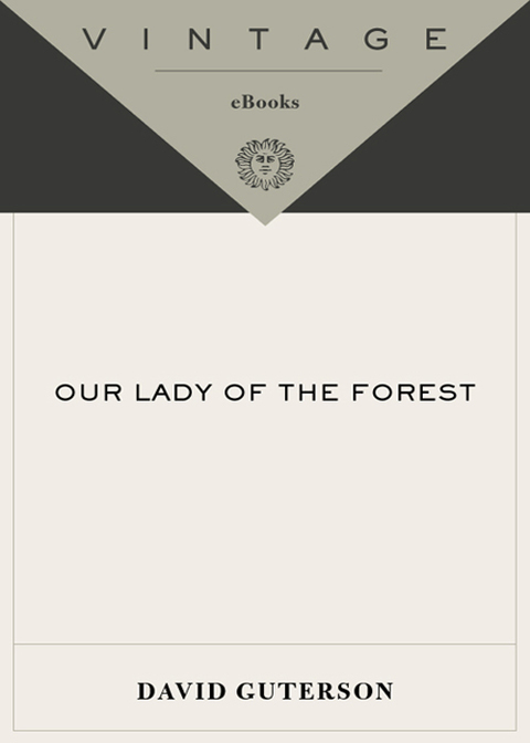 Cover image for book Our Lady of the Forest