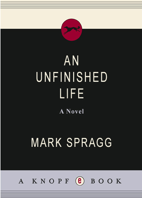 Cover image for book An Unfinished Life