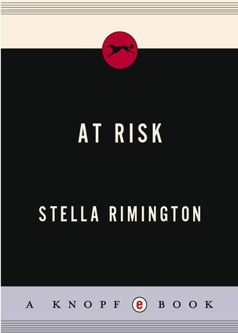 Cover image for book At Risk