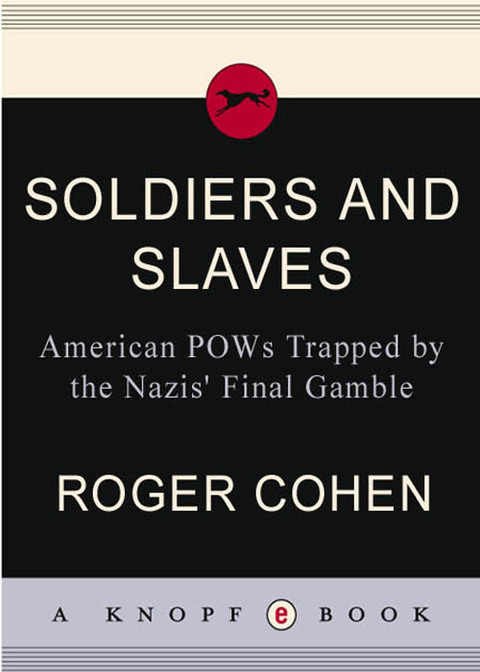 Cover image for book Soldiers and Slaves