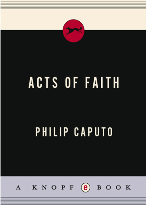 Cover image for book Acts of Faith