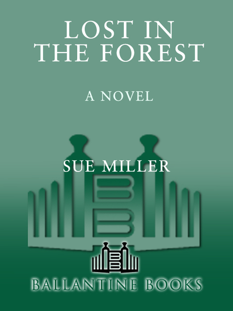 Cover image for book Lost in the Forest