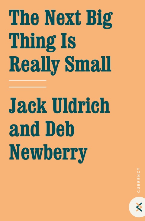 Cover image for book The Next Big Thing Is Really Small