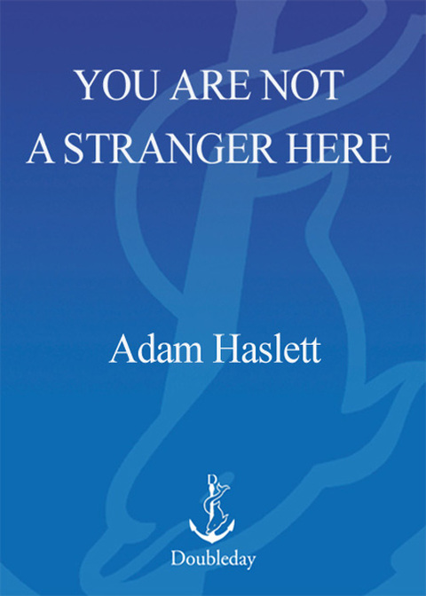 Cover image for book You Are Not a Stranger Here