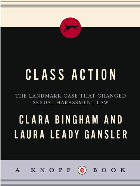 Cover image for book Class Action