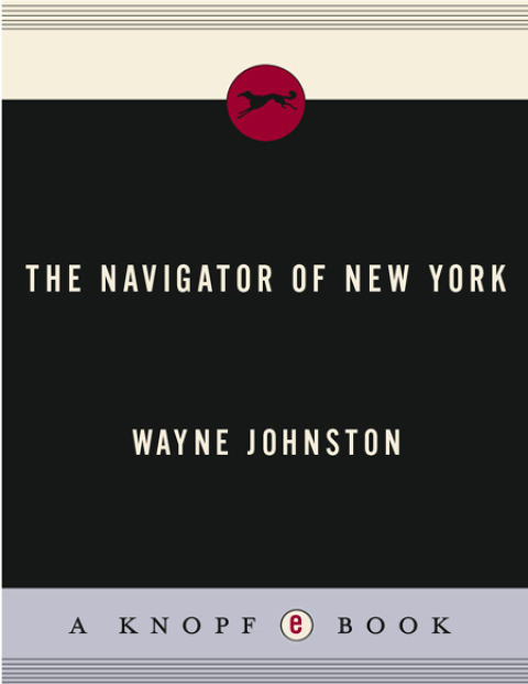 Cover image for book The Navigator of New York