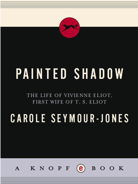 Cover image for book Painted Shadow