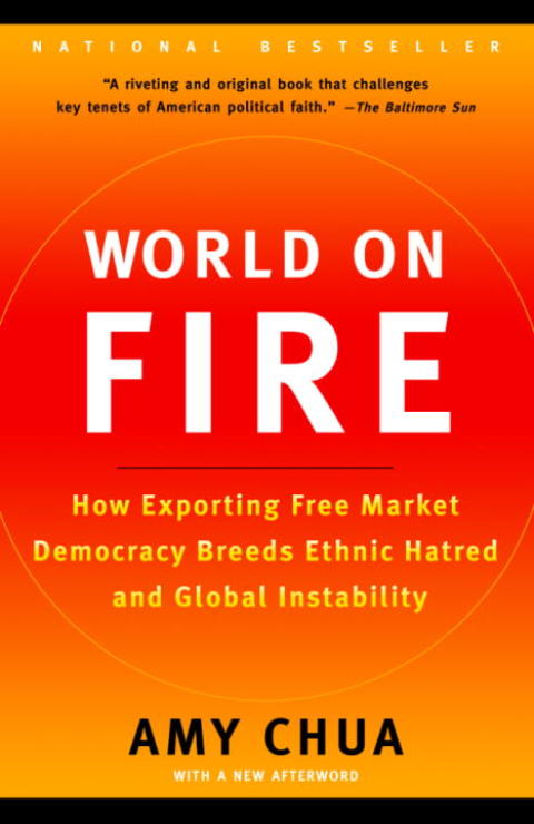 Cover image for book World on Fire
