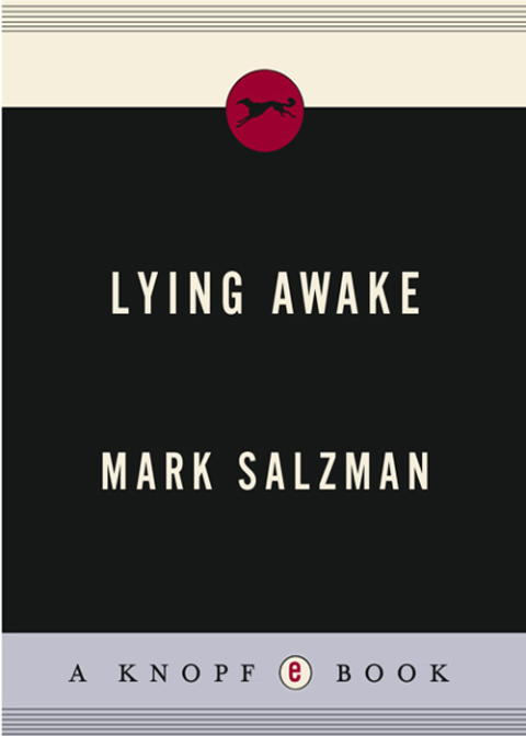 Cover image for book Lying Awake
