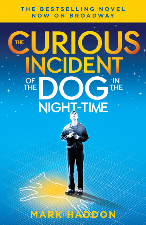 Cover image for book The Curious Incident of the Dog in the Night-Time