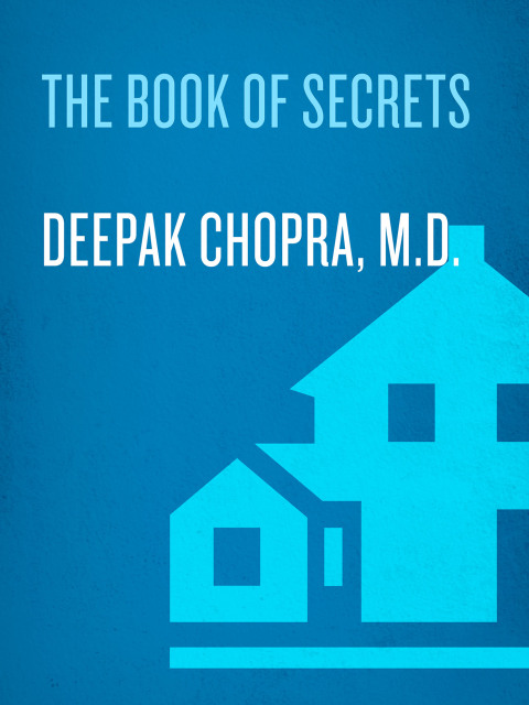 Cover image for book The Book of Secrets