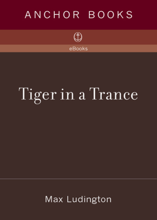 Tiger in a Trance