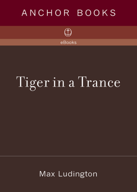 Cover image for book Tiger in a Trance