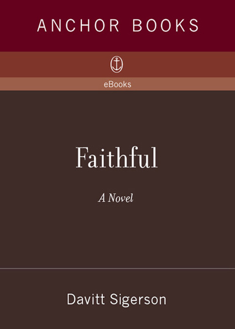 Cover image for book Faithful