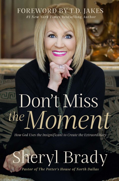 Cover image for book Don't Miss the Moment
