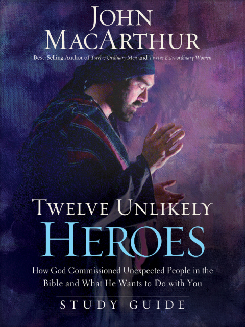 Cover image for book Twelve Unlikely Heroes Study Guide