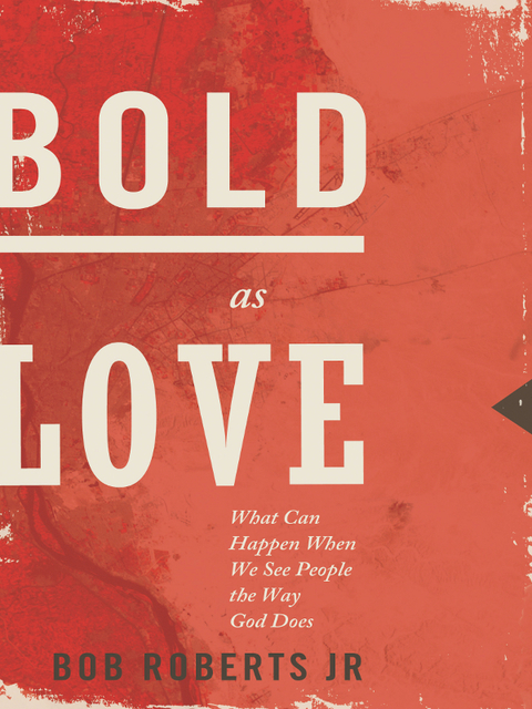 Cover image for book Bold as Love