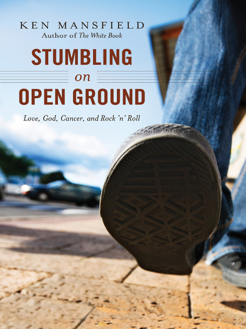 Cover image for book Stumbling on Open Ground